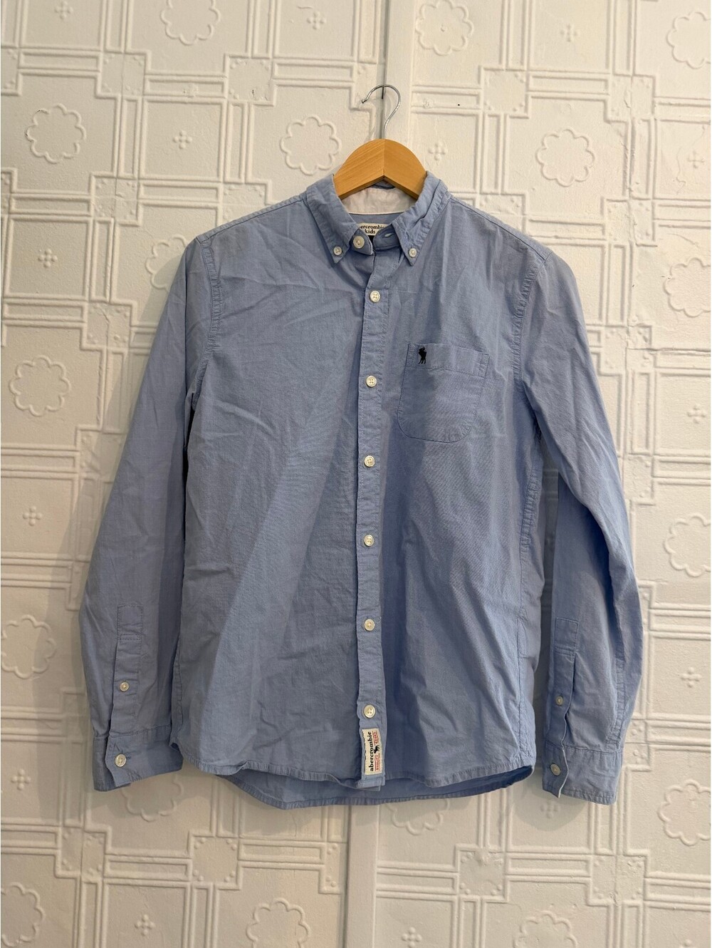 Abercrombie Kids Blue Oxford Button Down Shirt Size 15/16